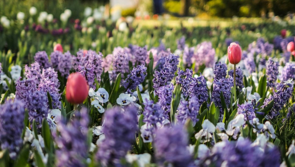 Spring selling season is here. What’s different in 2026?